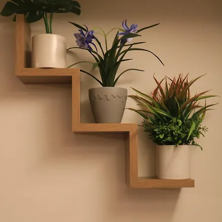 Casa Leolisa * 科拉托