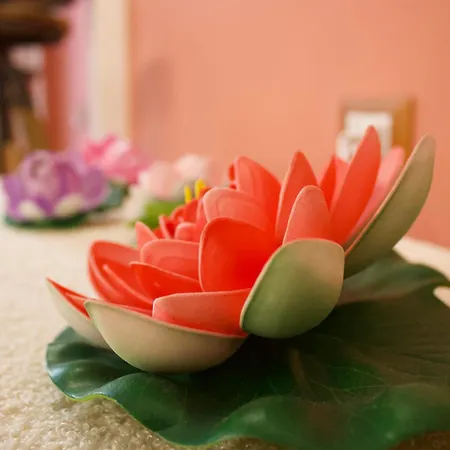 公寓 Casa Leolisa 科拉托